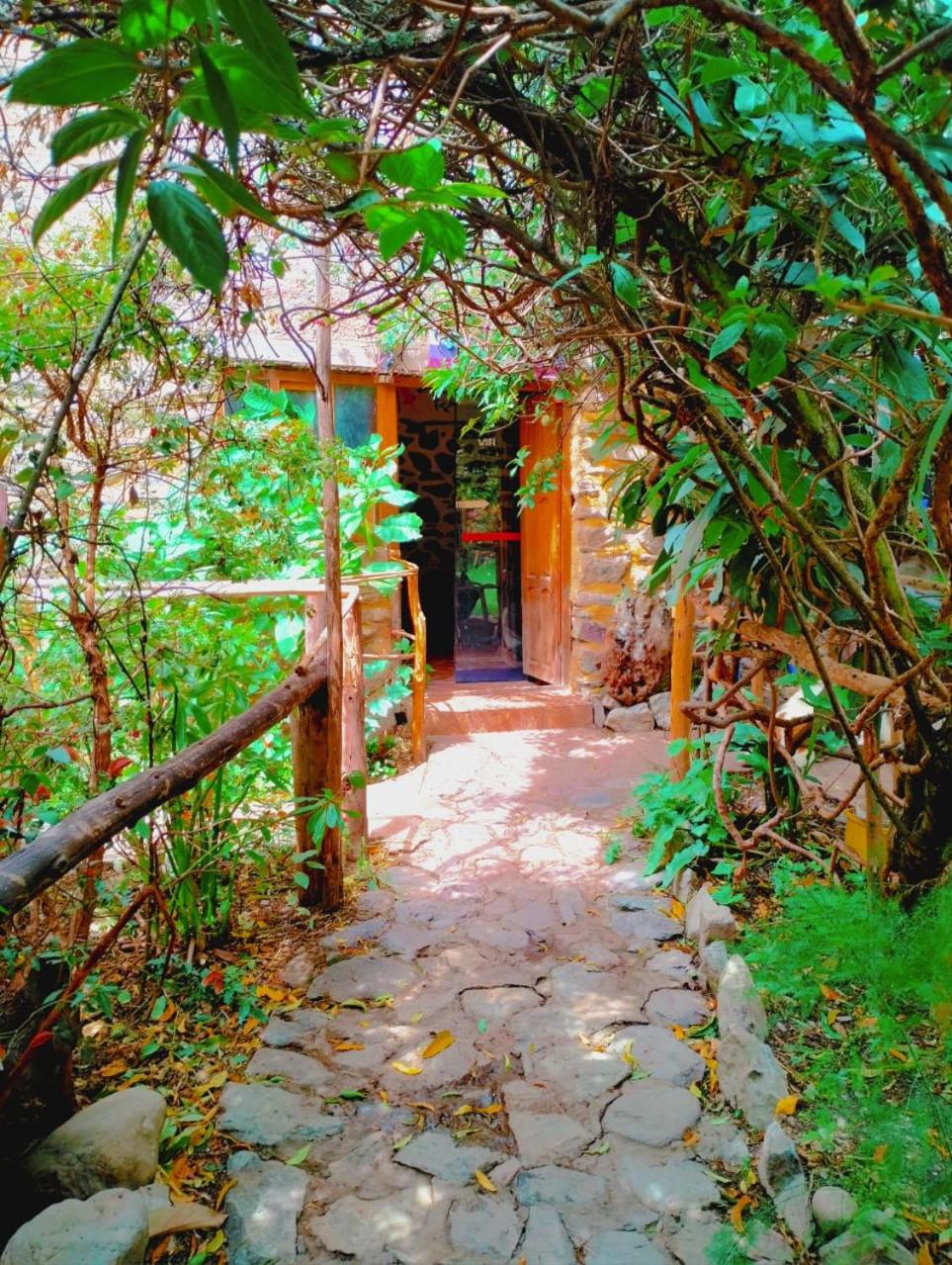 Hospedaje K'uchuwasi Backpacker