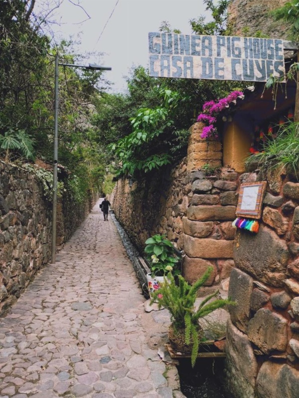 Hospedaje K'uchuwasi Backpacker image 13