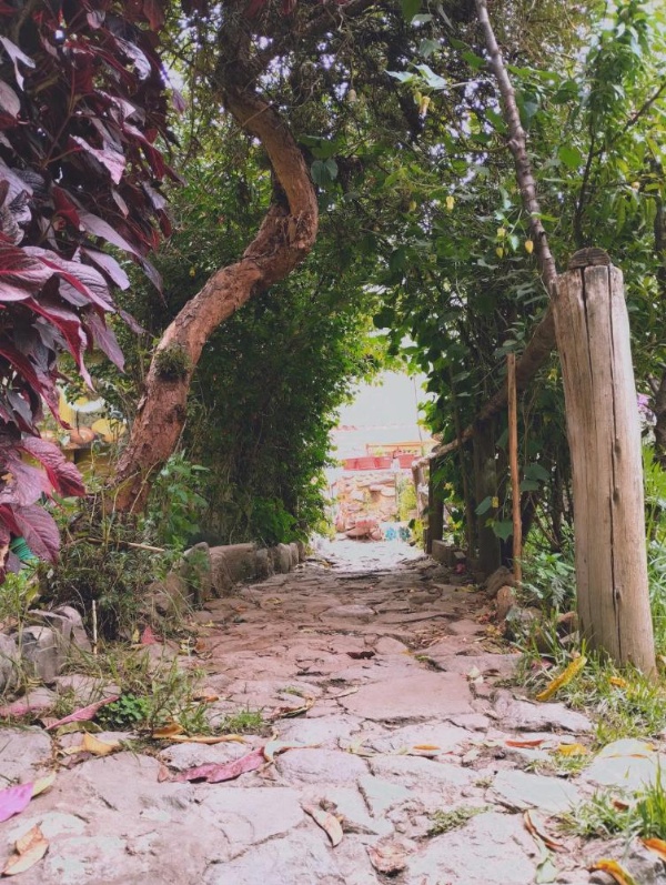 Hospedaje K'uchuwasi Backpacker image 15